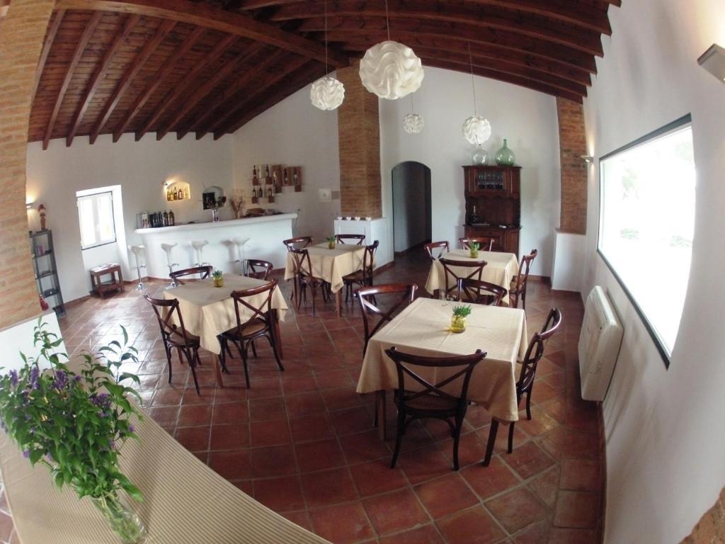 Outeiro Da Vila - Casas De Campo Vila Verde de Ficalho Zewnętrze zdjęcie